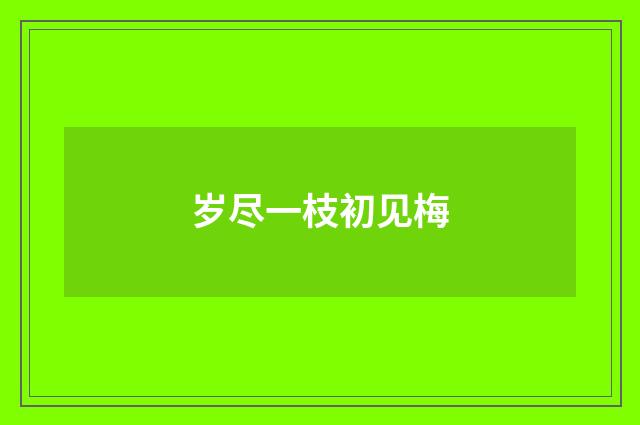 岁尽一枝初见梅