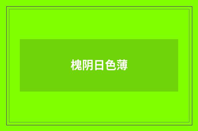 槐阴日色薄