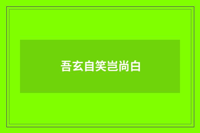 吾玄自笑岂尚白