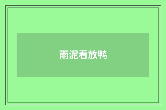 雨泥看放鸭