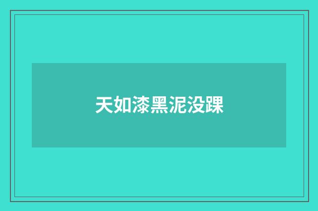 天如漆黑泥没踝