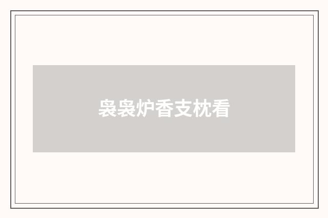 袅袅炉香支枕看