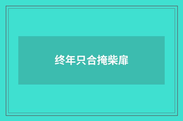 终年只合掩柴扉