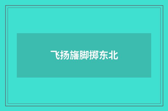 飞扬旛脚掷东北