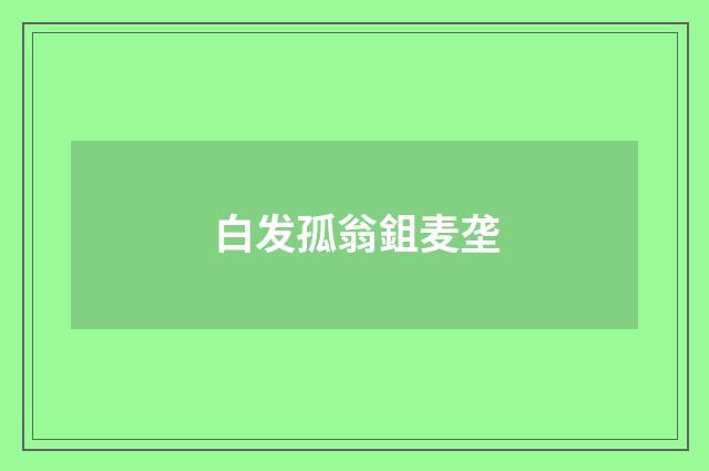 白发孤翁鉏麦垄