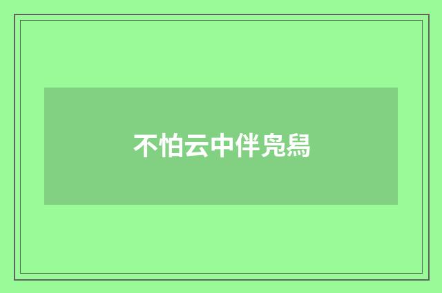 不怕云中伴凫舄