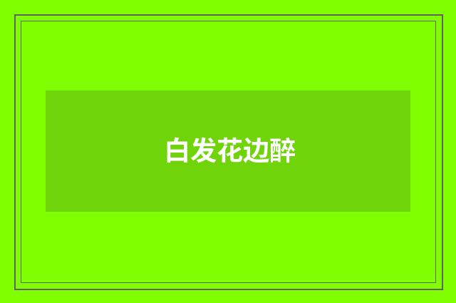 白发花边醉