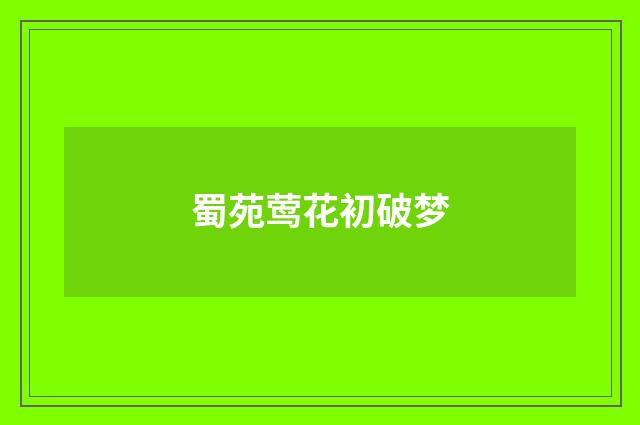 蜀苑莺花初破梦