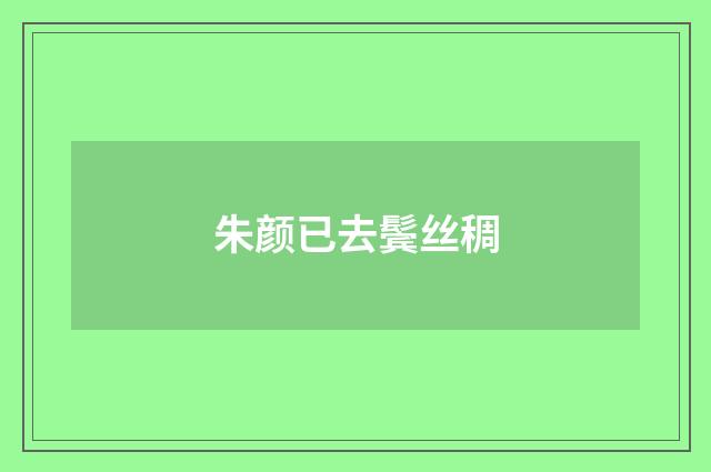 朱颜已去鬓丝稠