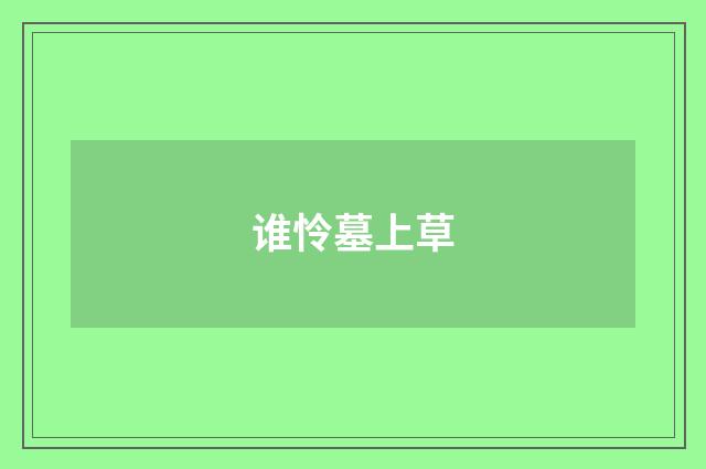 谁怜墓上草