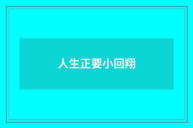 人生正要小回翔