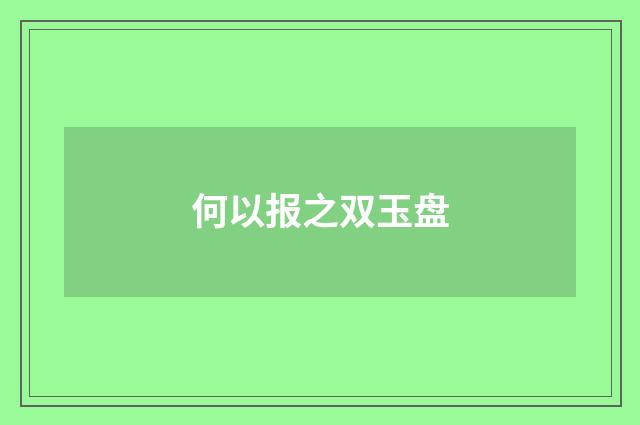 何以报之双玉盘