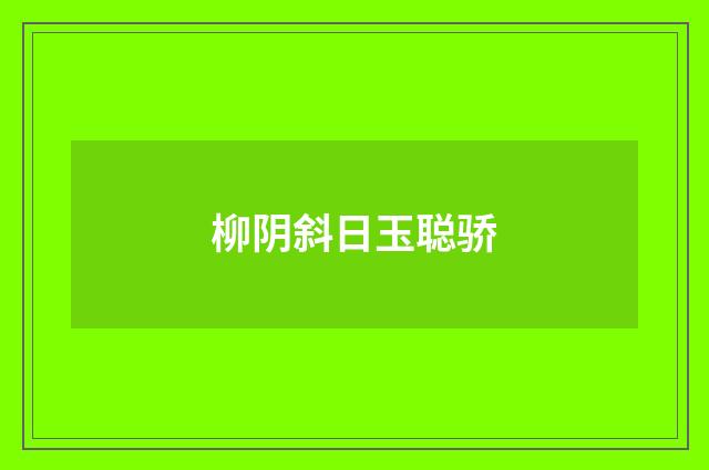 柳阴斜日玉聪骄
