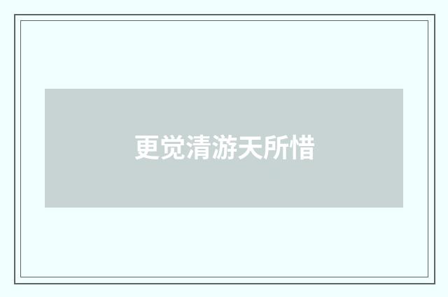 更觉清游天所惜