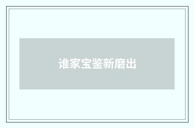 谁家宝鉴新磨出