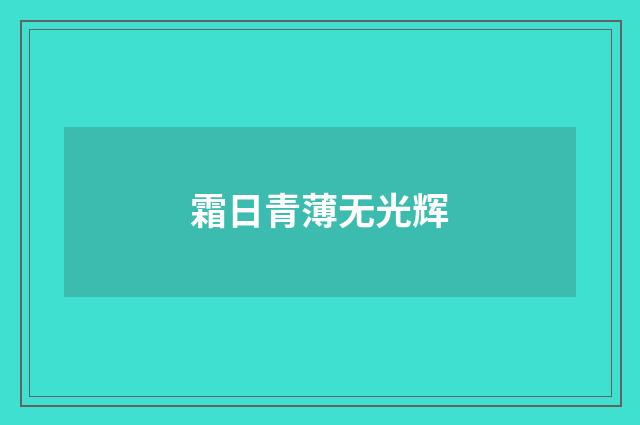 霜日青薄无光辉