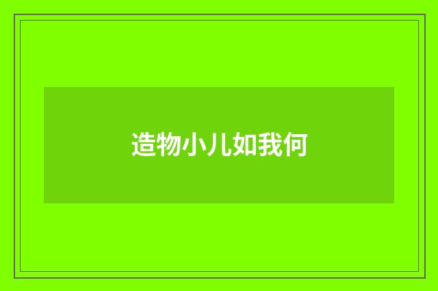 造物小儿如我何