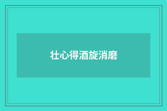 壮心得酒旋消磨