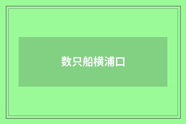 数只船横浦口