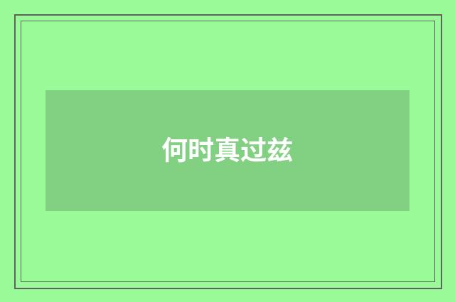 何时真过兹