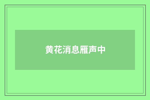 黄花消息雁声中
