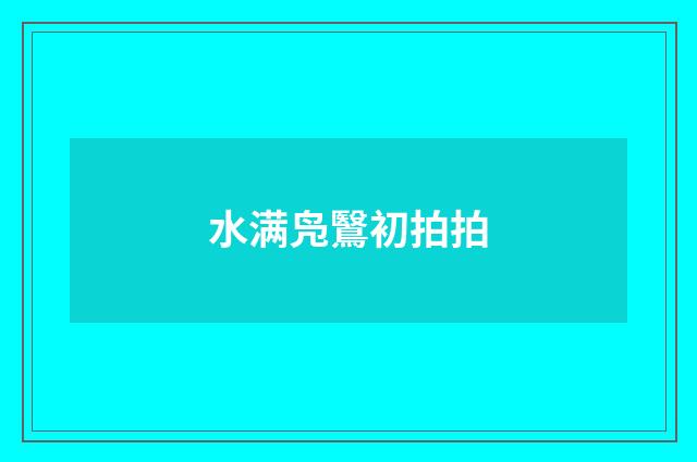 水满凫鷖初拍拍
