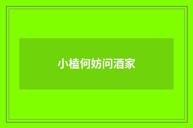 小榼何妨问酒家