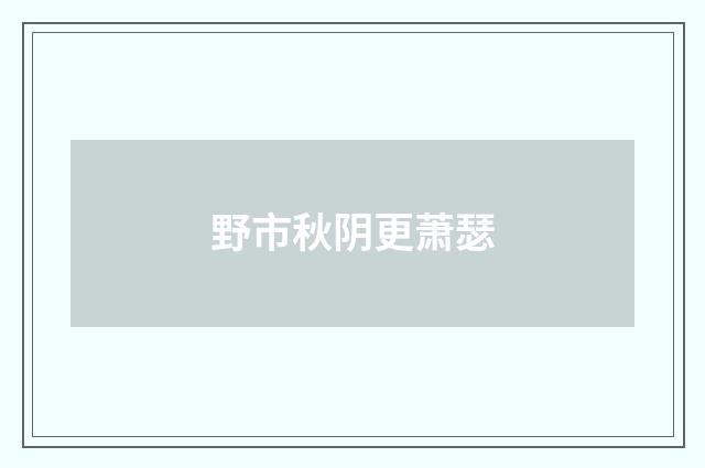 野市秋阴更萧瑟