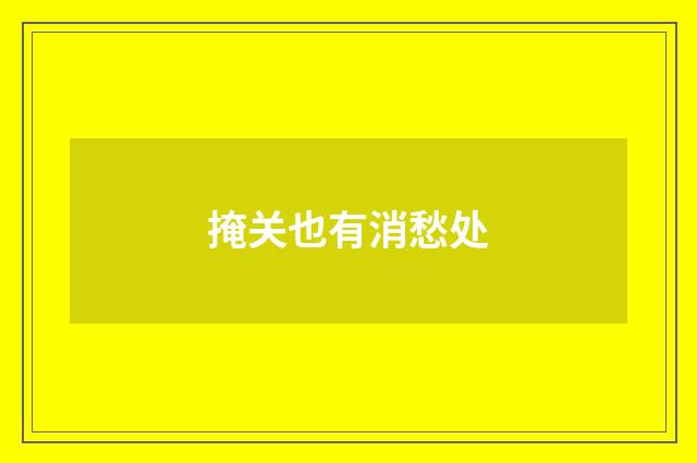 掩关也有消愁处