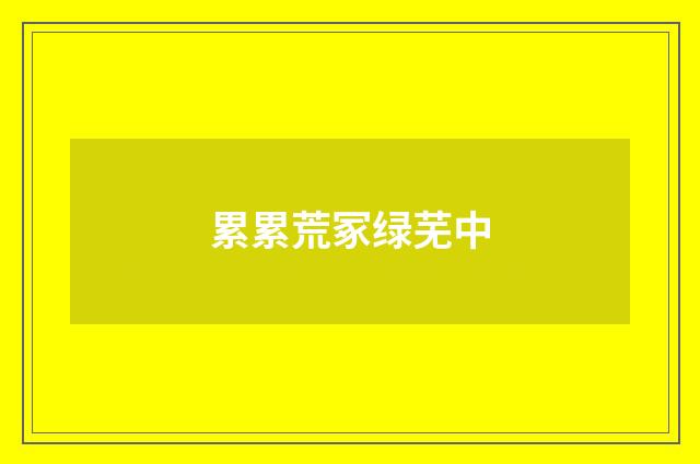 累累荒冢绿芜中