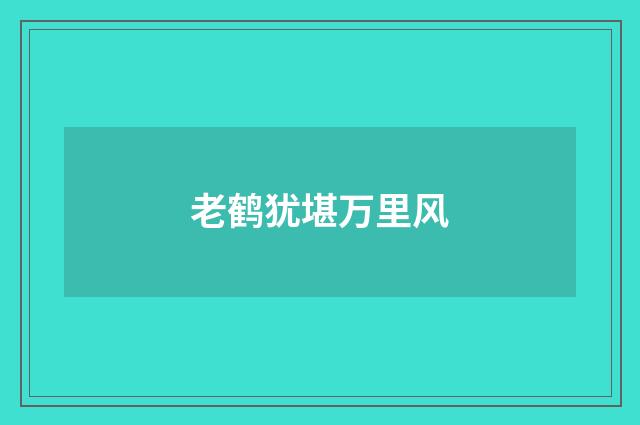 老鹤犹堪万里风