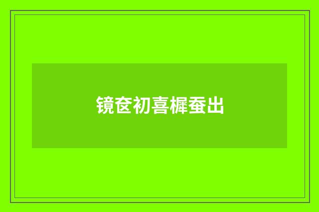 镜奁初喜樨蚕出