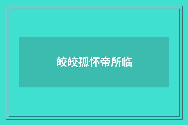 皎皎孤怀帝所临
