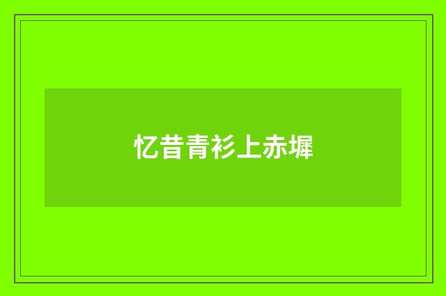 忆昔青衫上赤墀