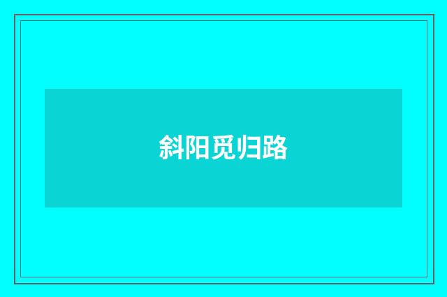 斜阳觅归路
