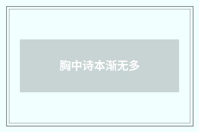 胸中诗本渐无多