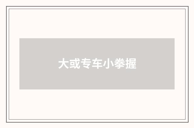 大或专车小拳握