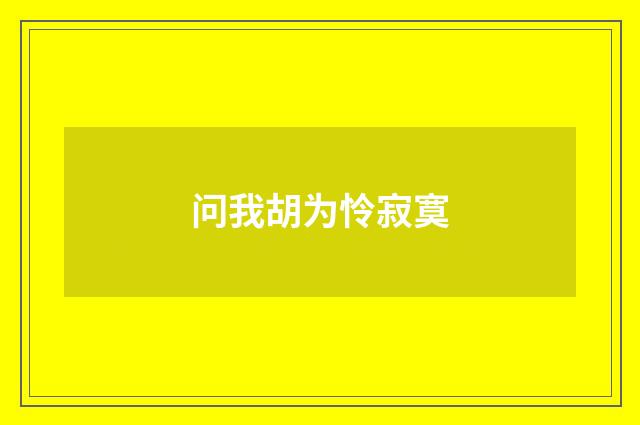 问我胡为怜寂寞