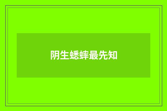 阴生蟋蟀最先知