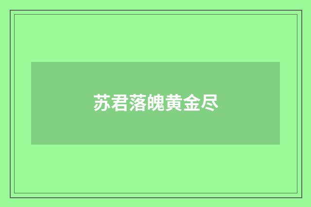 苏君落魄黄金尽