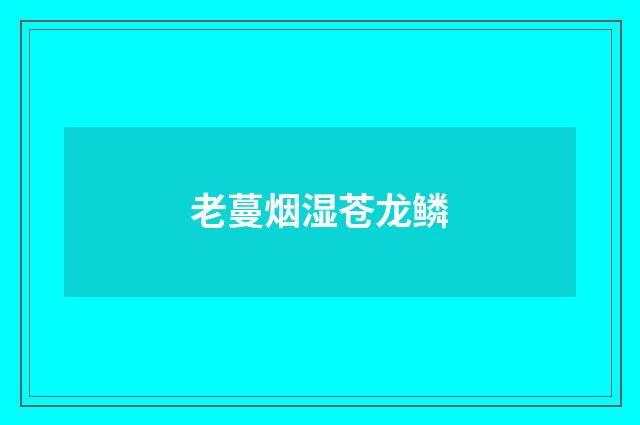 老蔓烟湿苍龙鳞