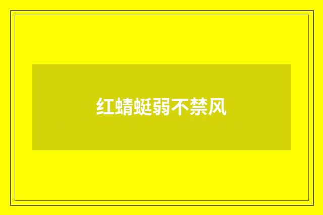 红蜻蜓弱不禁风