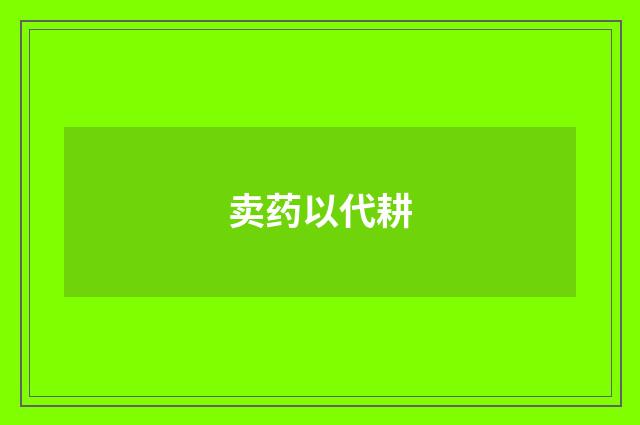 卖药以代耕