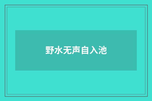 野水无声自入池