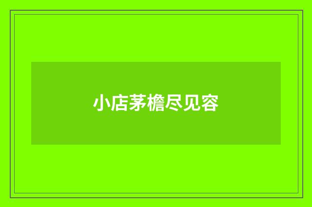 小店茅檐尽见容