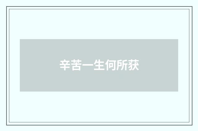 辛苦一生何所获