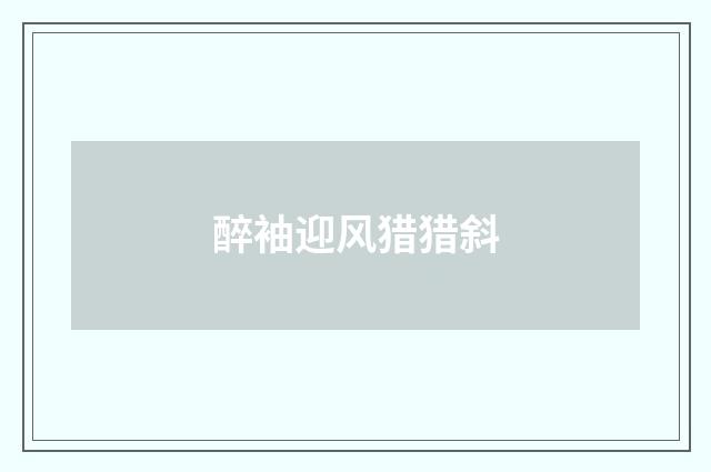 醉袖迎风猎猎斜