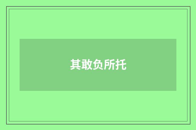 其敢负所托