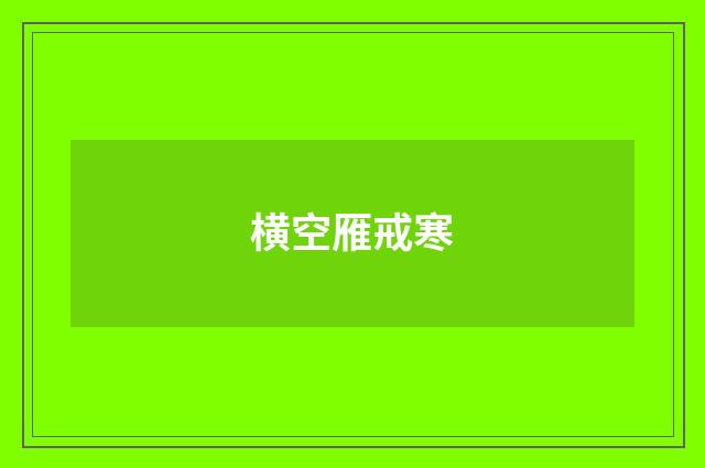 横空雁戒寒