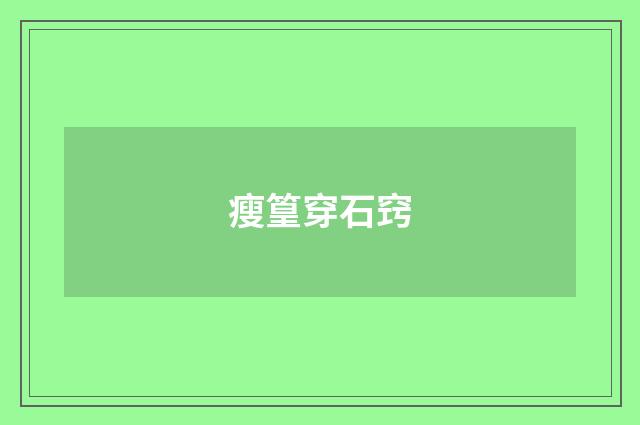 瘦篁穿石窍
